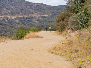 Hiking in Hollywood Hills trail