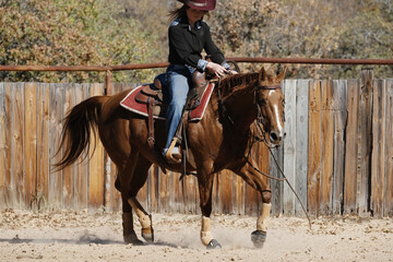 Texas cowgirl riding horseback in outdoor arena with young horse.