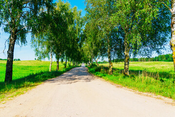 Summer Empty Country Road With Trees Beside.Landscape Concept. Long gravel road in summer nature landscape.