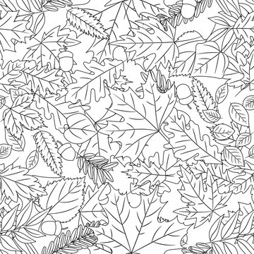 Linear autumn leaves oak, birch, maple. Seamless pattern. Autumnal leaf background outline coloring book, tree foliage contour. Design for web, textile print, repeat wallpaper. Vector illustration.