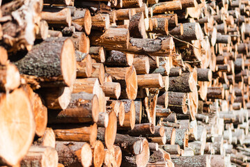 An alternative to expensive gas fuel.Pile of logs on a sunny summer day.firewood solid fuel found background.