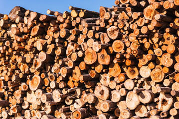 An alternative to expensive gas fuel.Pile of logs on a sunny summer day.firewood solid fuel found background.