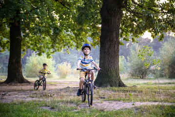 Two little kid boys in colorful casual clothes in summer forest park driving bicycle. Active children cycling on sunny fall day in nature. Safety, sports, leisure with kids concept