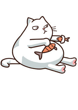 Grumpy cat paly with fish
