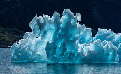 The Arctic - Icebergs in Greenland