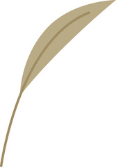 Plant narrow leaf flat illustration