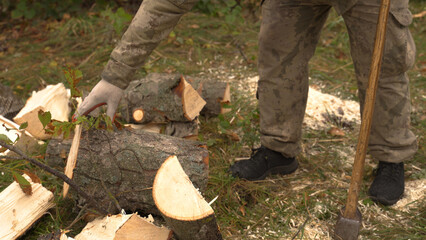 a woodcutter splits a large birch log with a heavy ax. harvesting firewood, wood processing. ecological fuel for fireplace and stove. lumberjack work