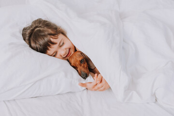 cute little brunette girl at home in bed with a brown dachshund dog cuddling and sleeping