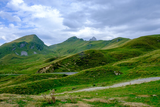 Pecore al pascolo e cavalli allo stato brado sul Colle d'Aubisque, Francia, Pirenei Atlantici