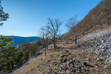 Hiking around the happurger reservoir in Hersbruck