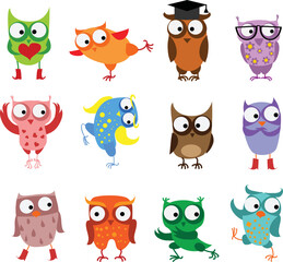 Vector illustrations set of cute different owl birds in the simple style