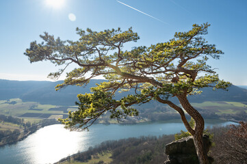 Hiking around the happurger reservoir in Hersbruck