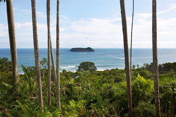 Panoramic view of tropical island and palm trees