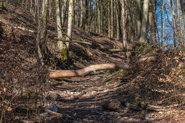 Hiking around the happurger reservoir in Hersbruck