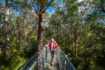 girl in pigtails walks among the crowns of huge trees, tree top walk, valley of the giants