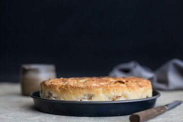 apple pie, charlotte, in a metal form on a dark background in rustic style. Horizontal, front view.