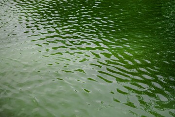 water waves