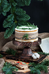 New Year's sponge cake decorated with a strip of old newspaper and rosemary sprigs surrounded by snow-covered fir branches on a dark background