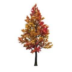 autumn tree isolated on white background, 3D illustration, cg render