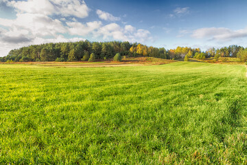 Landscape autumn field with colourful trees, autumn Poland, Europe and amazing blue sky with clouds, sunny day