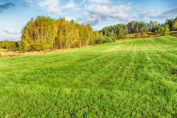 Obraz premium Landscape autumn field with colourful trees, autumn Poland, Europe and amazing blue sky with clouds, sunny day