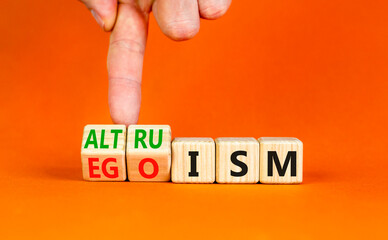 Altruism or egoism symbol. Concept words Egoism and Altruism on wooden cubes. Psychologist hand....