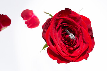 red rose and diamond ring