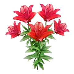 Fotobehang bouquet of red lily flowers vector illustration © TanyaArt