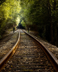 Vias de tren atravesando un bosque y adentrandose en un tunel 