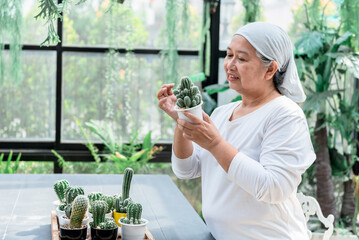 Asian elderly women spend their free time and rest by plant and care for cactus, which is relaxing...