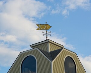 bird perched on ornamental banner of rooftop wind vane