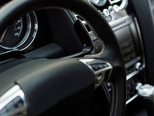 steering wheel and dashboard with a speedometer in a modern expensive car