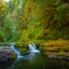 Small waterfalls in autumn in the rainforest of Silver Falls State Park, Oregon