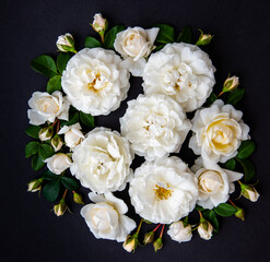 Lots of White Roses on Black Background