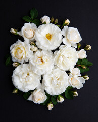 Lots of White Roses on Black Background