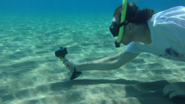 Camemen filming Cleaver Wrasse or Pearly Razorfish (Xyrichtys novacula) on a sandy bottom. Mediterranean.