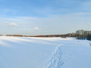 Fototapeta na wymiar Field in sunny winter noon