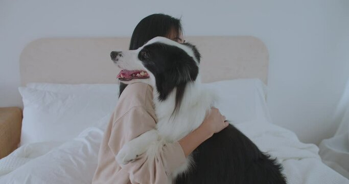 Happy smiling woman is caressing with affection her lovely border collie dog at cozy home. Young asian girl hugging  her pet on bed with love. Human and animals friendship concept with pet.