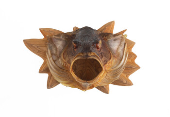 Obraz premium dried fish head isolated on white background