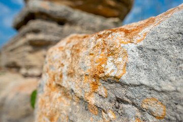 1. orange color on gray rock