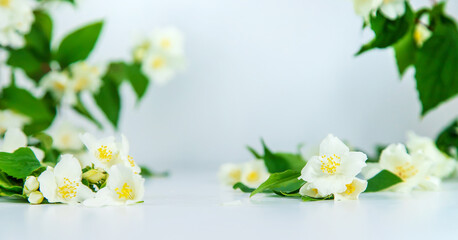 Beautiful light background with jasmine flowers. Place for a subject. Selective focus.