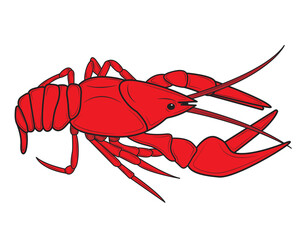 Realistic Lobster or crayfish. Seafood shop logo, signboard, restaurant menu, fish market, banner, poster design template. Fresh seafood. Vector illustration.