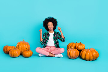 Photo of cheerful astonished lady sit floor rejoice pumpkin harvest wear plaid shirt isolated teal color background