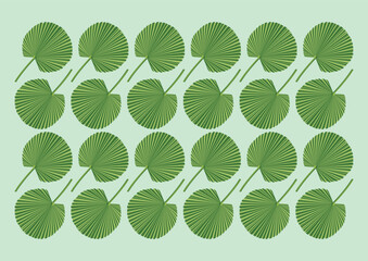 fan palm green leaves background