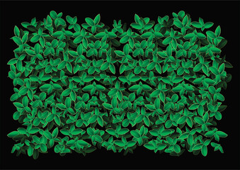 black background with green leaves