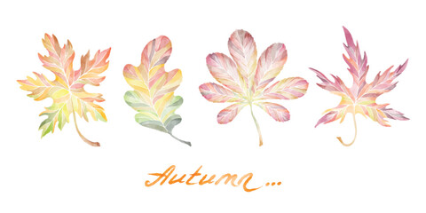 Autumn hand drawn colorful leaves isolated on white background with lettering. Collection of watercolor leaves in flat style. Vector illustration for wallpapers, surface and fabric design, invitations