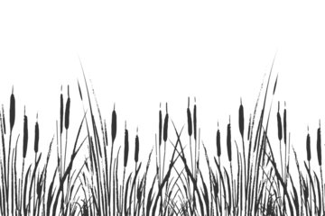 Foto op Canvas Image of a monochrome reed or bulrush on a white background.Isolated vector drawing. © gala