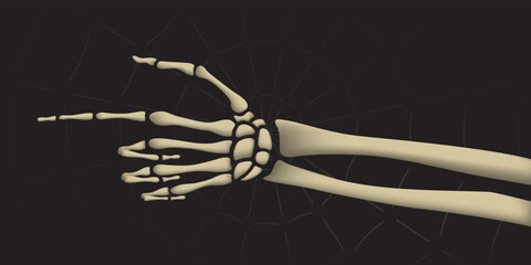 Dead Man Skeleton Realistic Hand Pointer Showing Direction Halloween Holidays Decoration Comic 3D Style Template - Bones on Black Spider Web Background - Mixed Graphic Design