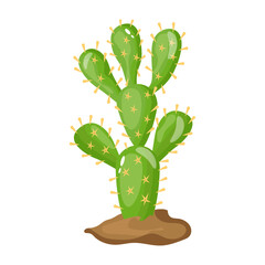 Cactus plant flat illustration, editable design 