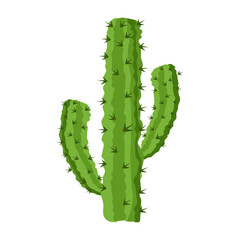 Cactus plant flat illustration, editable design 